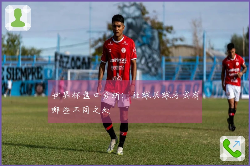 世界杯盘口分析：让球买球方式有哪些不同之处