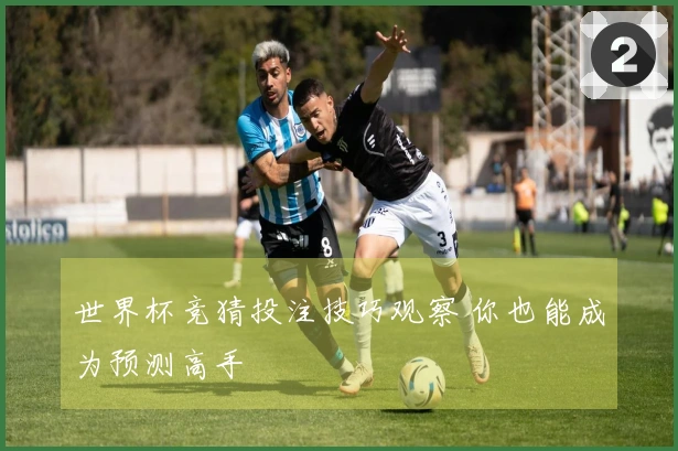 世界杯竞猜投注技巧观察 你也能成为预测高手