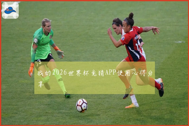 我的2026世界杯竞猜APP使用心得分享