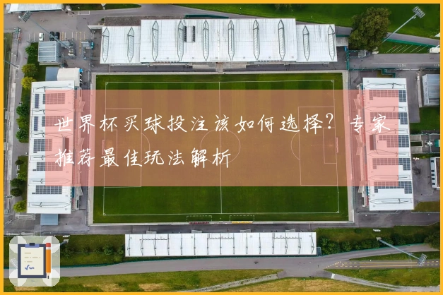 世界杯买球投注该如何选择？专家推荐最佳玩法解析